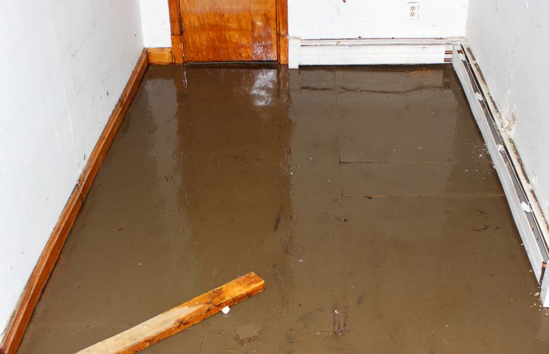 Prevents basement flooding and water damage.