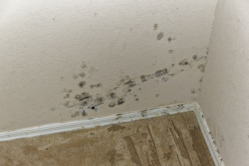 Reduces the risk of mold growth.